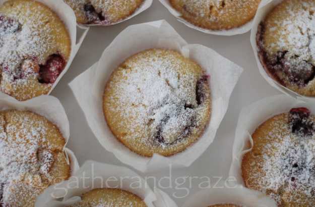 Raspberry White Chocolate Muffins | Gather and Graze