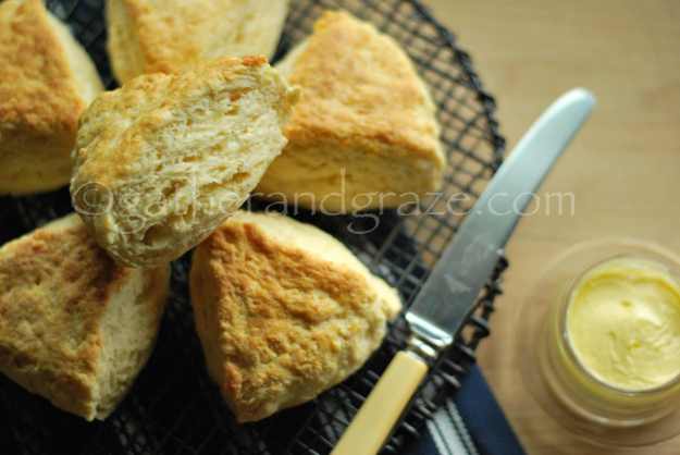 Savoury Cheese Scones | Gather and Graze