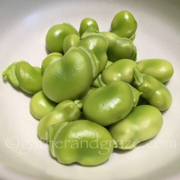 Broad Bean Salad | Gather and Graze
