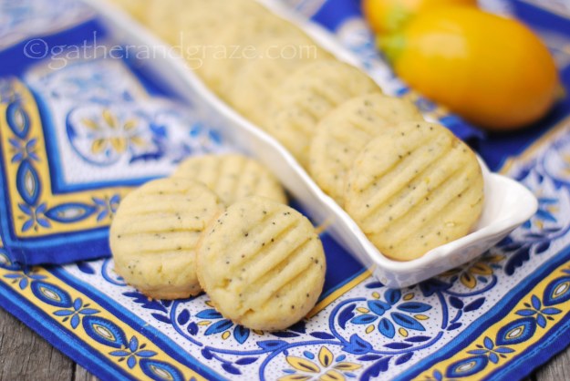 Lemon Poppyseed Biscuits/Cookies | Gather and Graze